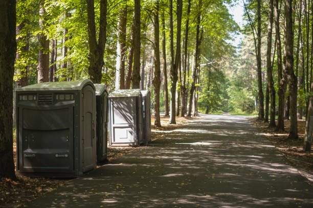 Best High-end porta potty rental  in Fruitvale, CO
